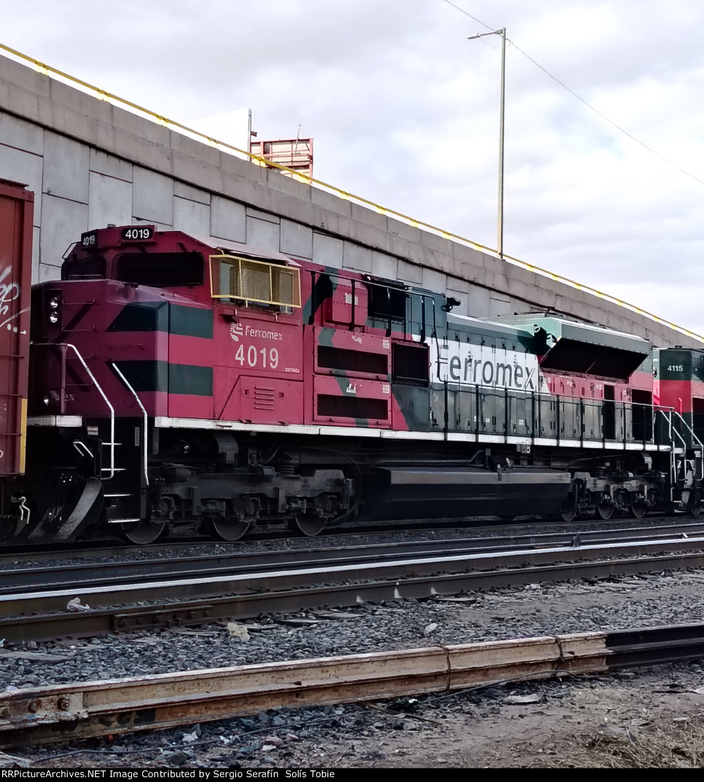 FXE 4019